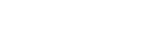 Bluesun Solar logo